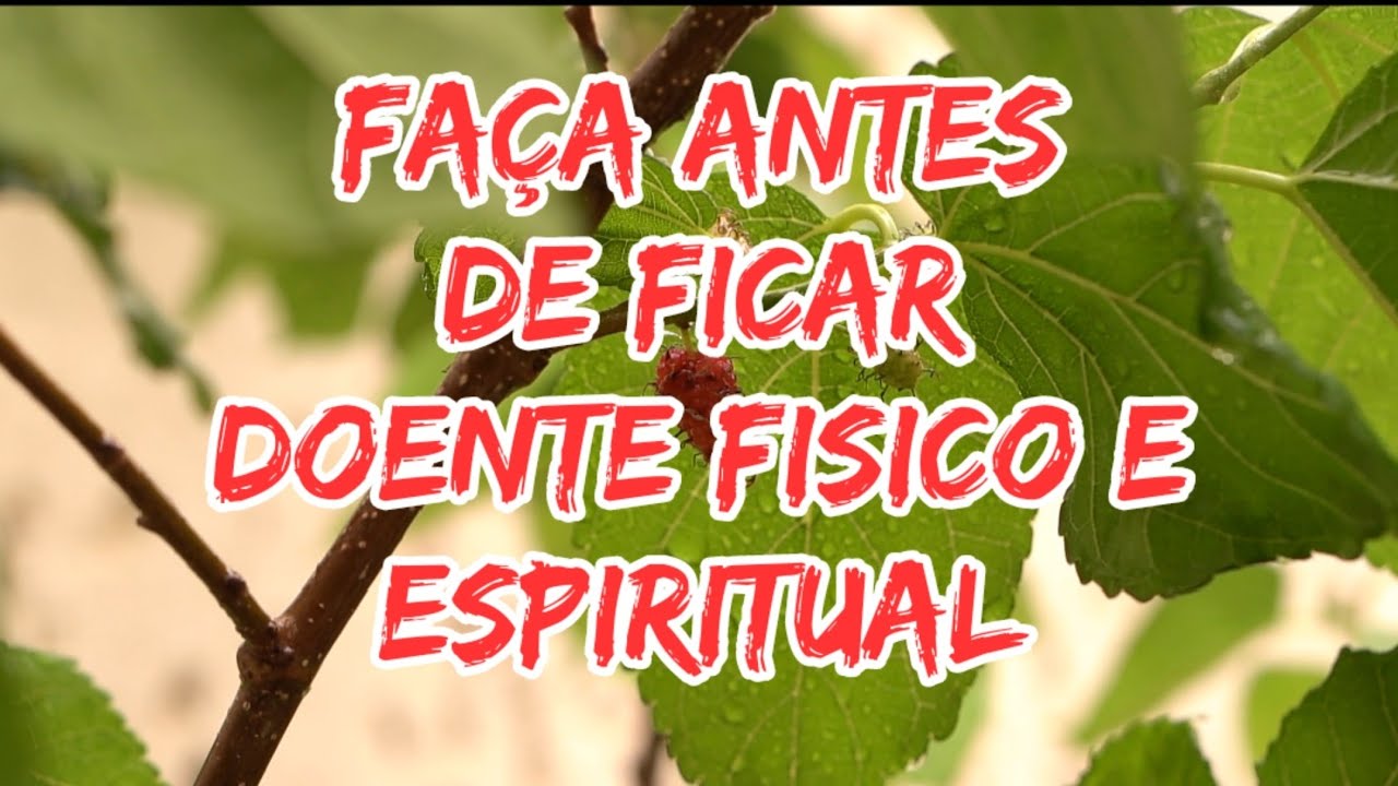 BANHO FOLHA DE AMORA: PARA QUE SERVE ? 