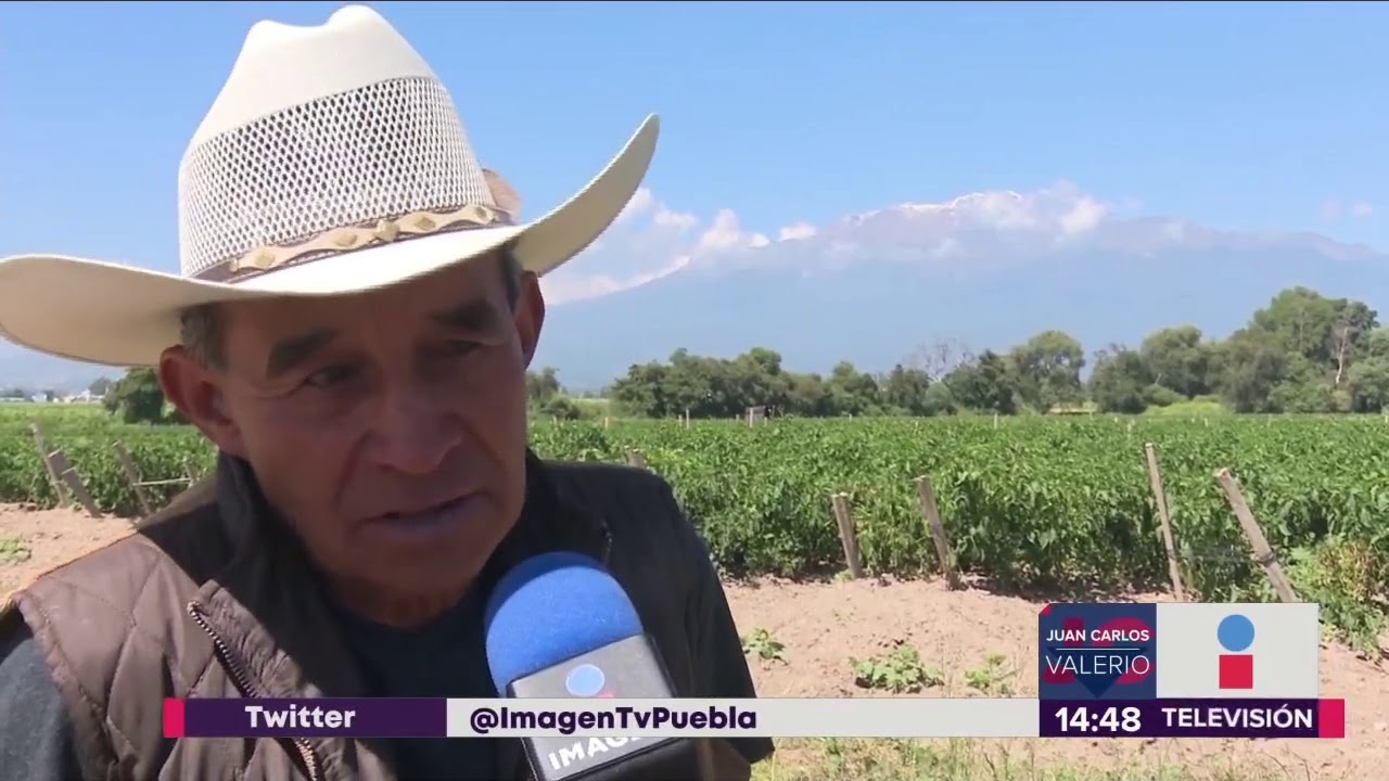 Producción chile poblano || Noticias con Juan Carlos Valerio