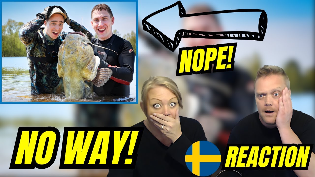 Swedes reacts to - Brits go Noodling for Catfish in the Deep South!!