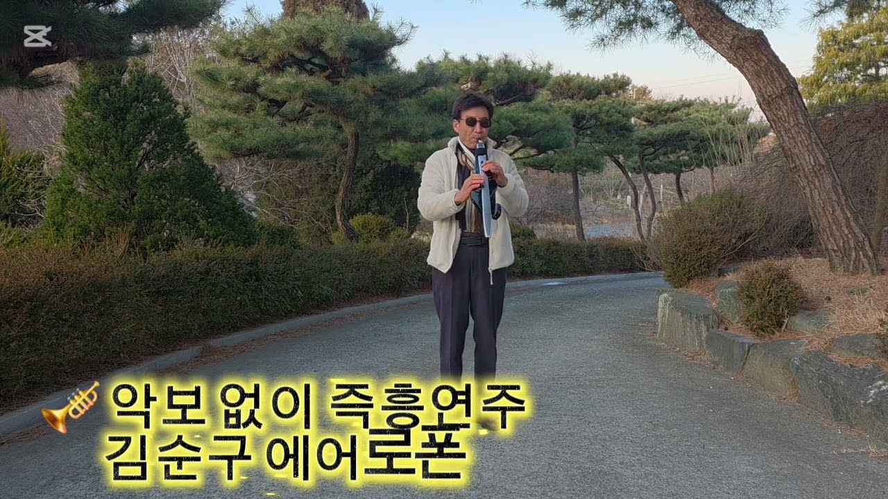님은먼곳에/노래 김추자/에어로폰 연주/김순구 
