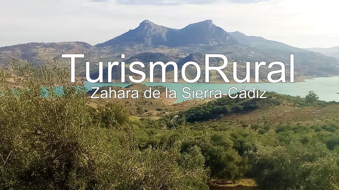 Venta Olivar con Almazara/Molino de aceite y Turismo Rural