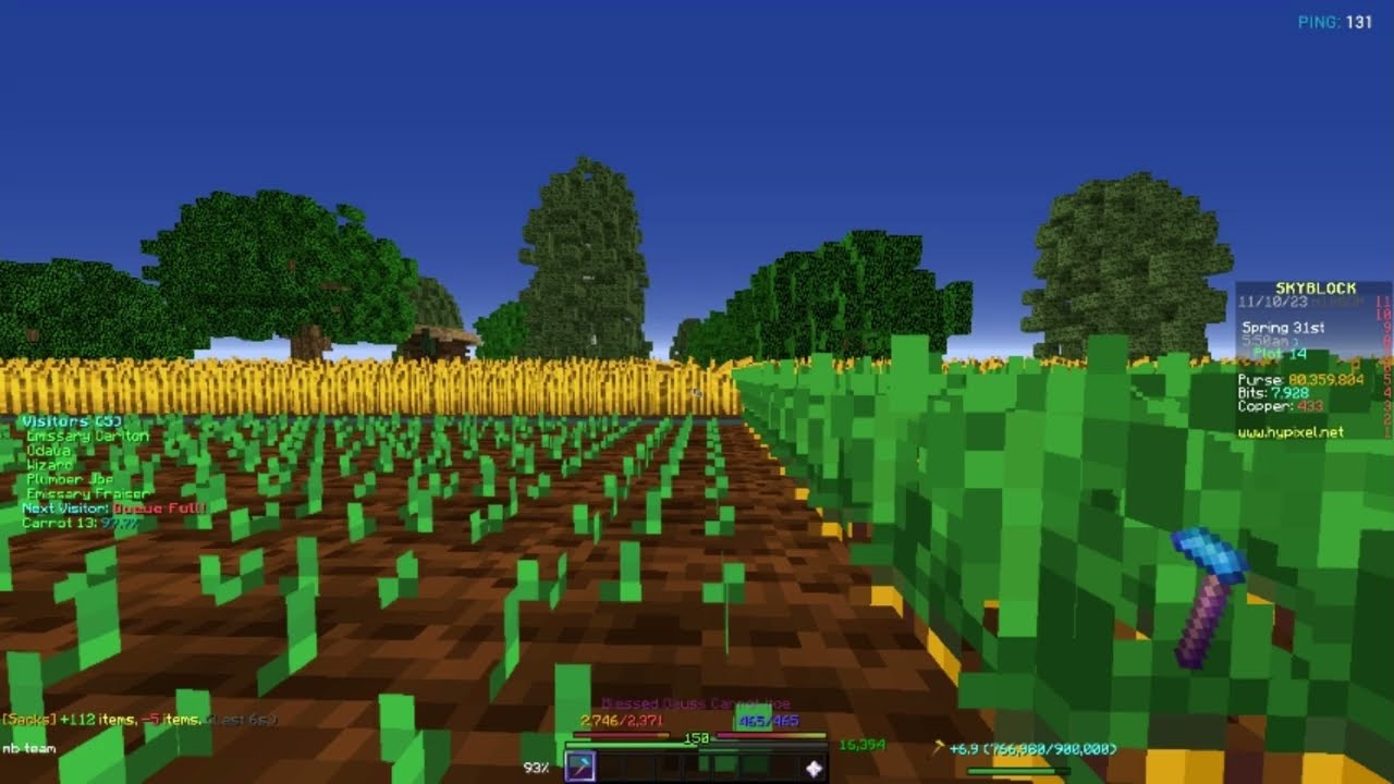 New Hypixel SkyBlock macro check