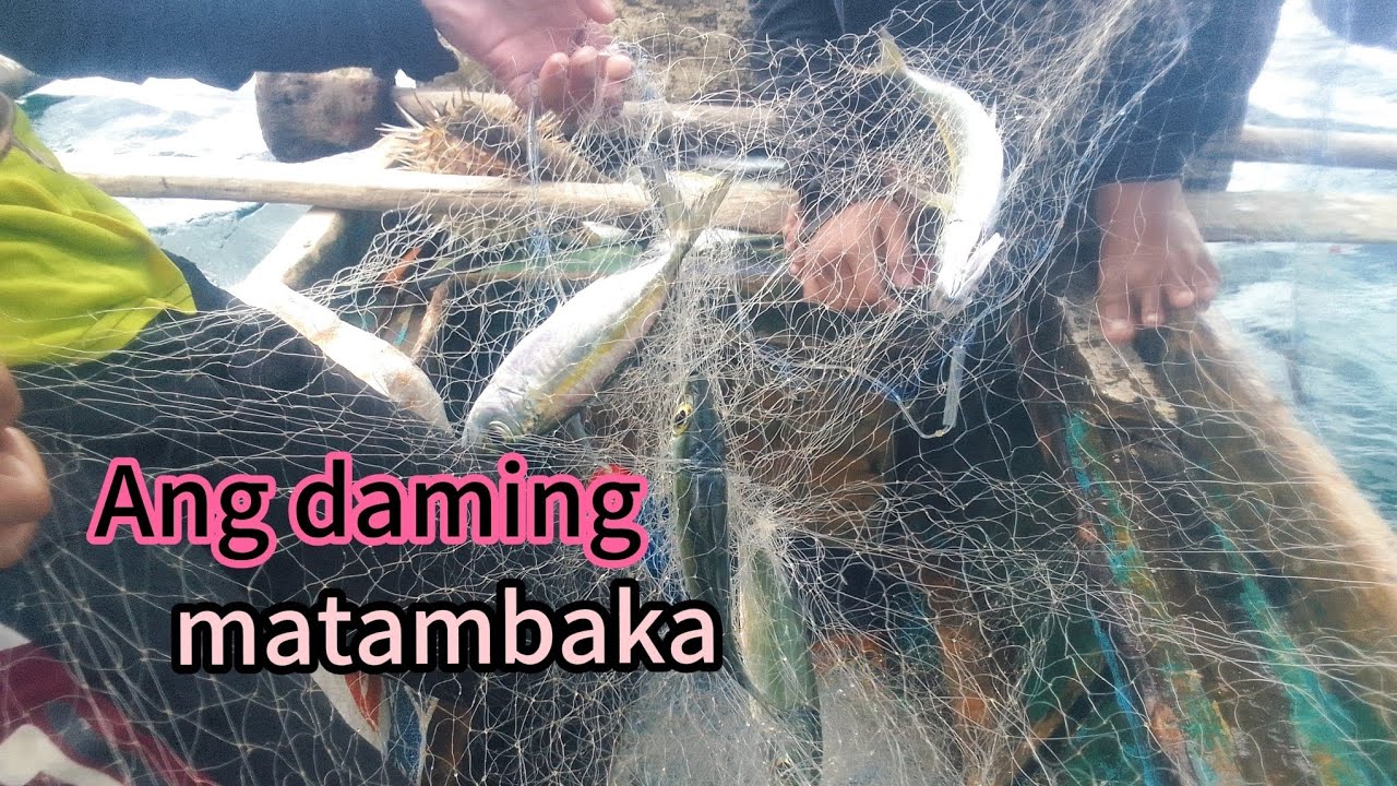 Matambaka Ang nagpaphuli Ngayon sa subrang lamig Ang dagat una nilang pagpunta sa malapit sa baybay