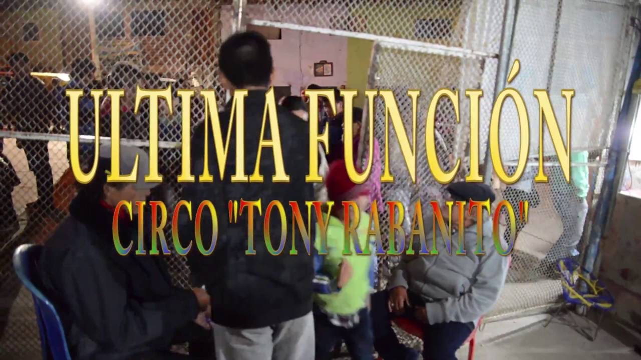 circo tony rabanito