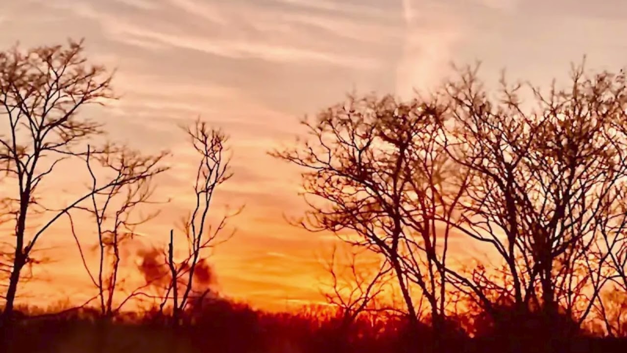 Impactful