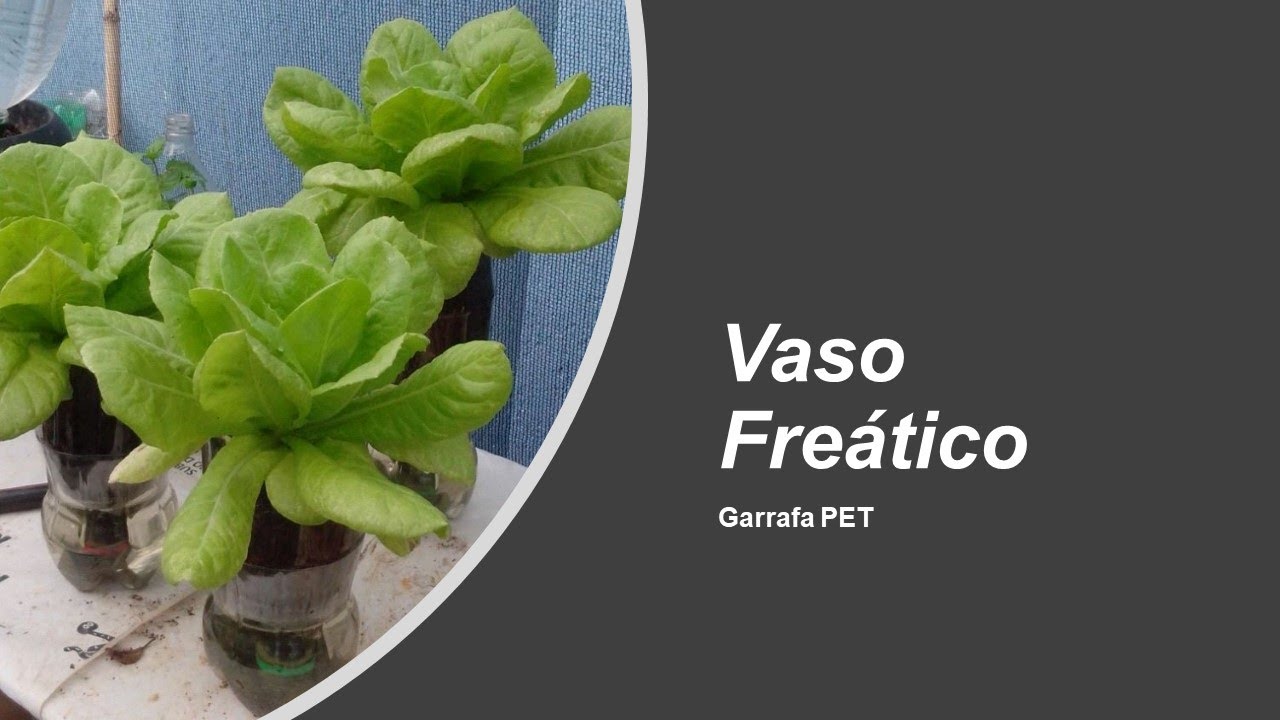 Vaso Freático em Garrafa PET - Auto Irrigável - Parte 1 de 3