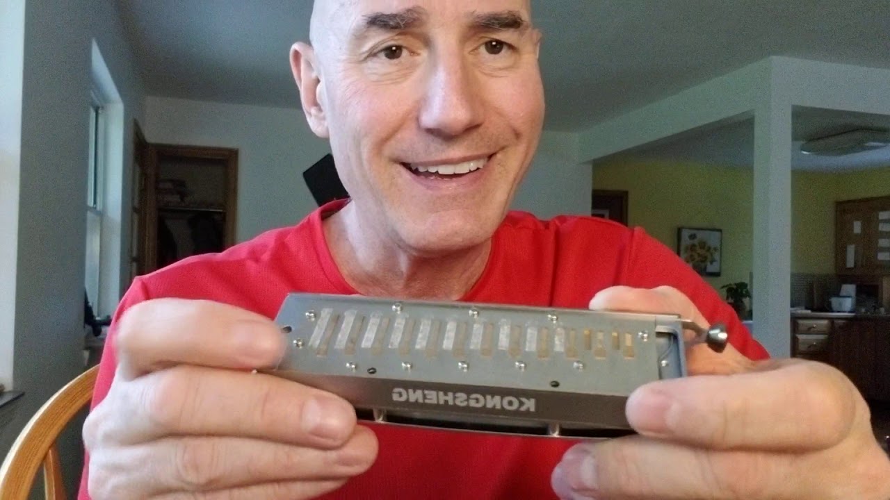 Kongsheng LYRA inset reedplates Kettlewell chromatic harmonica