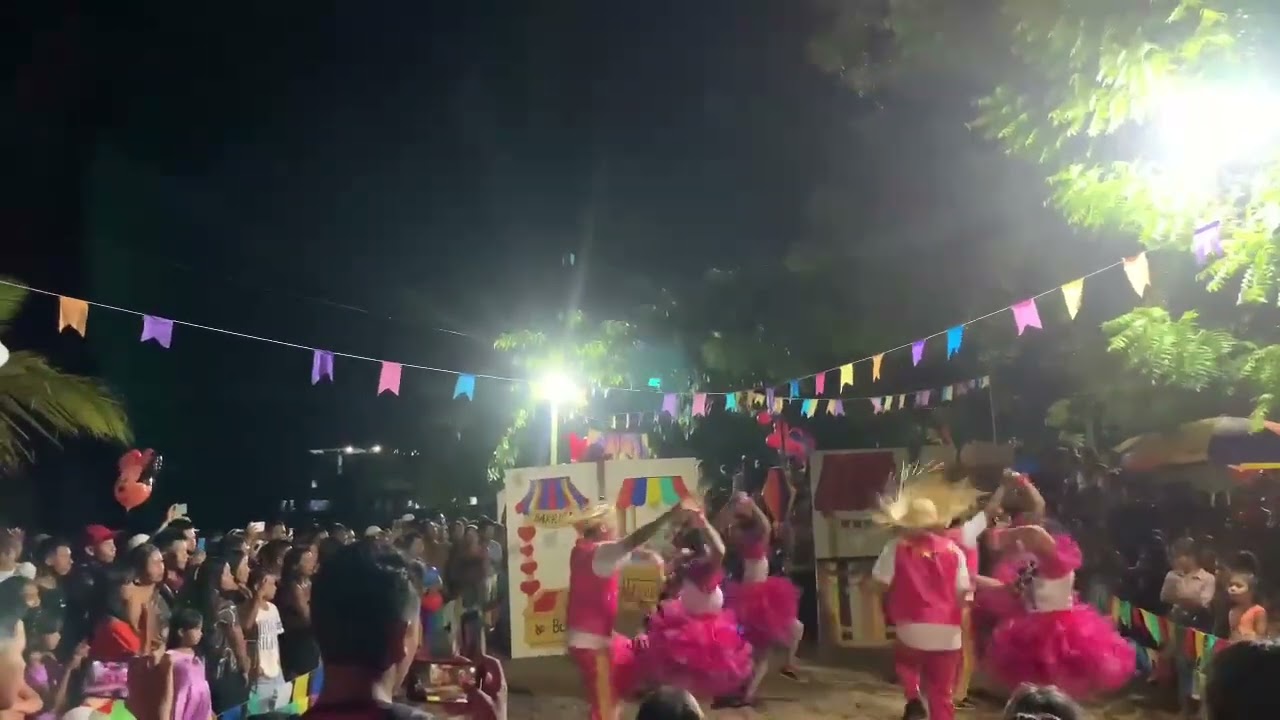 junina nossa senhora aparecida