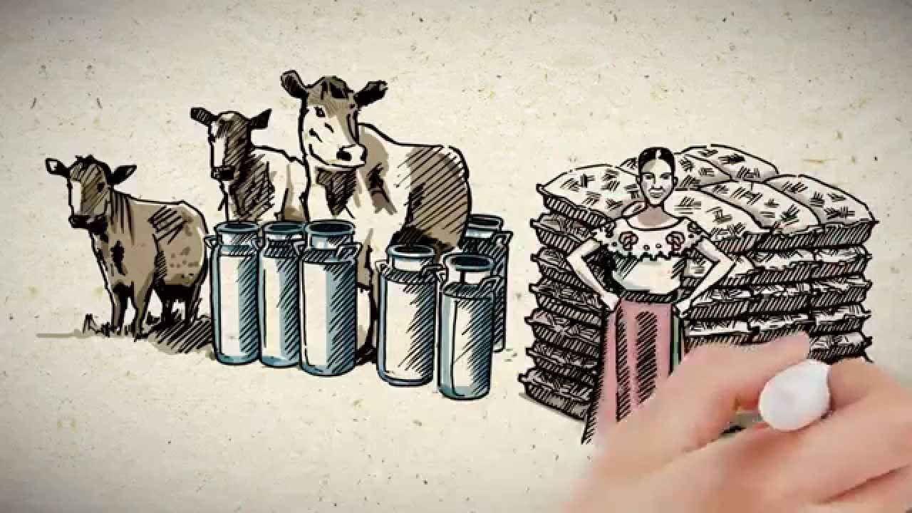 Todos somos parte del desarrollo rural sustentable