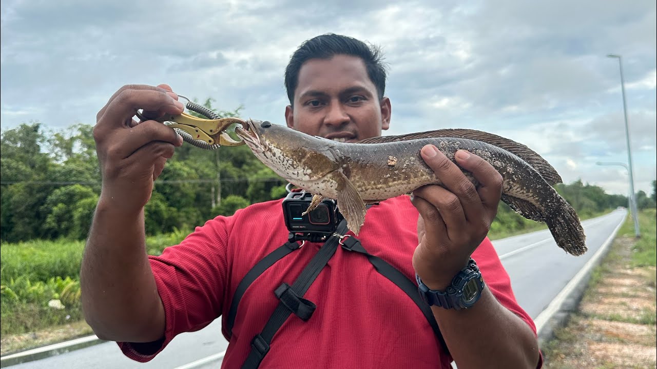 CASTING HARUAN l Try Test reel DAIWA dan Rod GTPRO Wonder✅