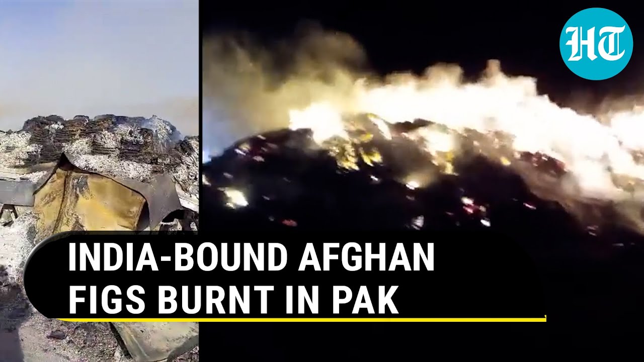 Taliban Warn Pak After Attack On India-Bound Afghan Fig Truckload Worth $300,000 In Balochistan