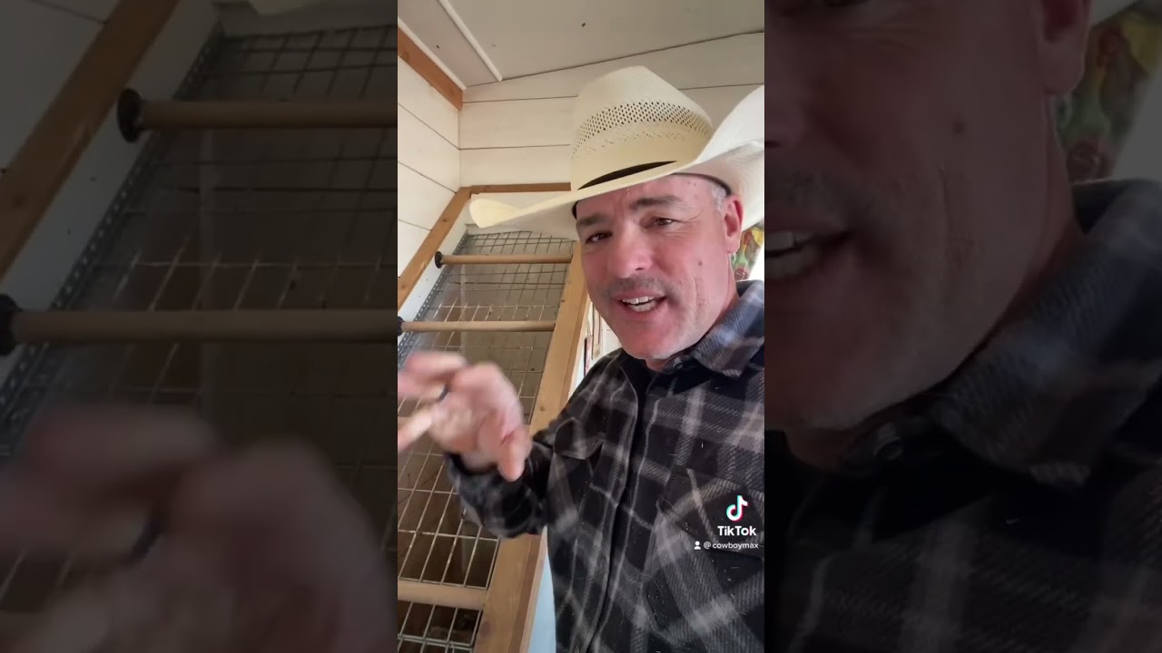 Round Or Flat Roosts?  #happyhens #chickencoop #cowboymax