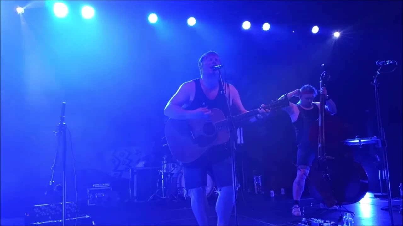 Steve'n'Seagulls  (Live)