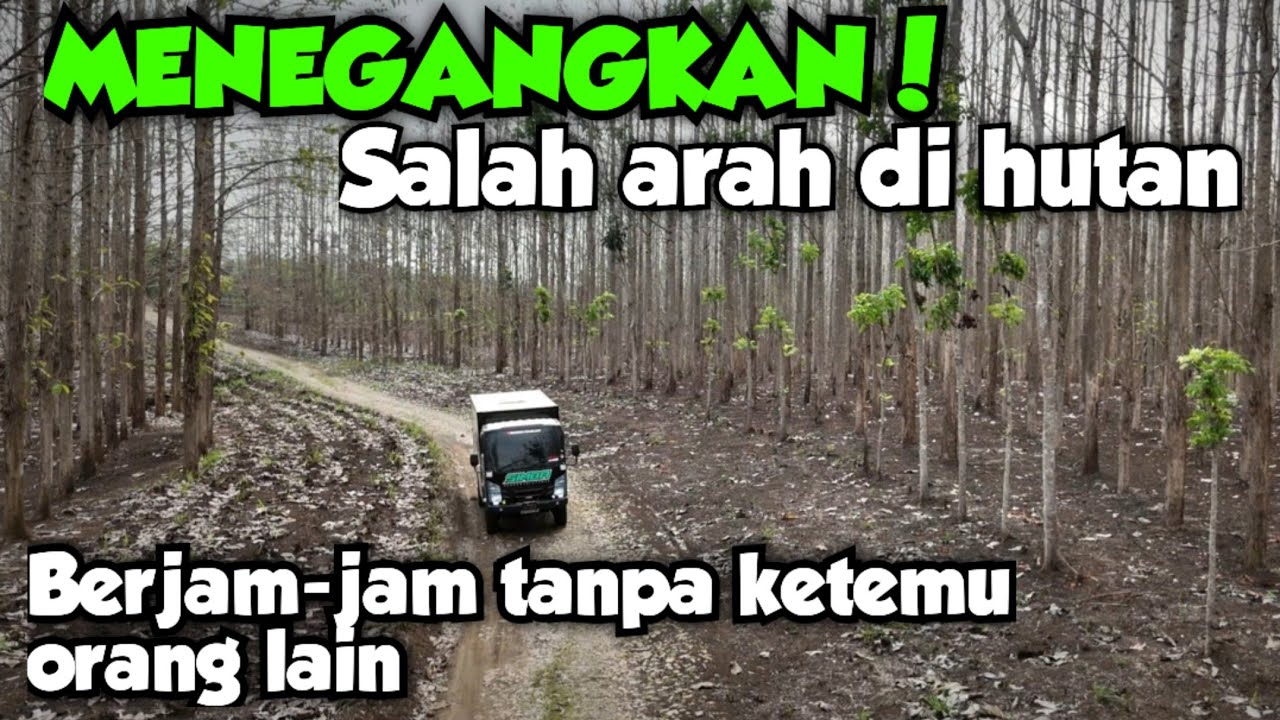 PERJALANAN HOROR, CAMPERVAN BERJAM-JAM SALAH ARAH DI HUTAN KARENA GOOGLE MAP