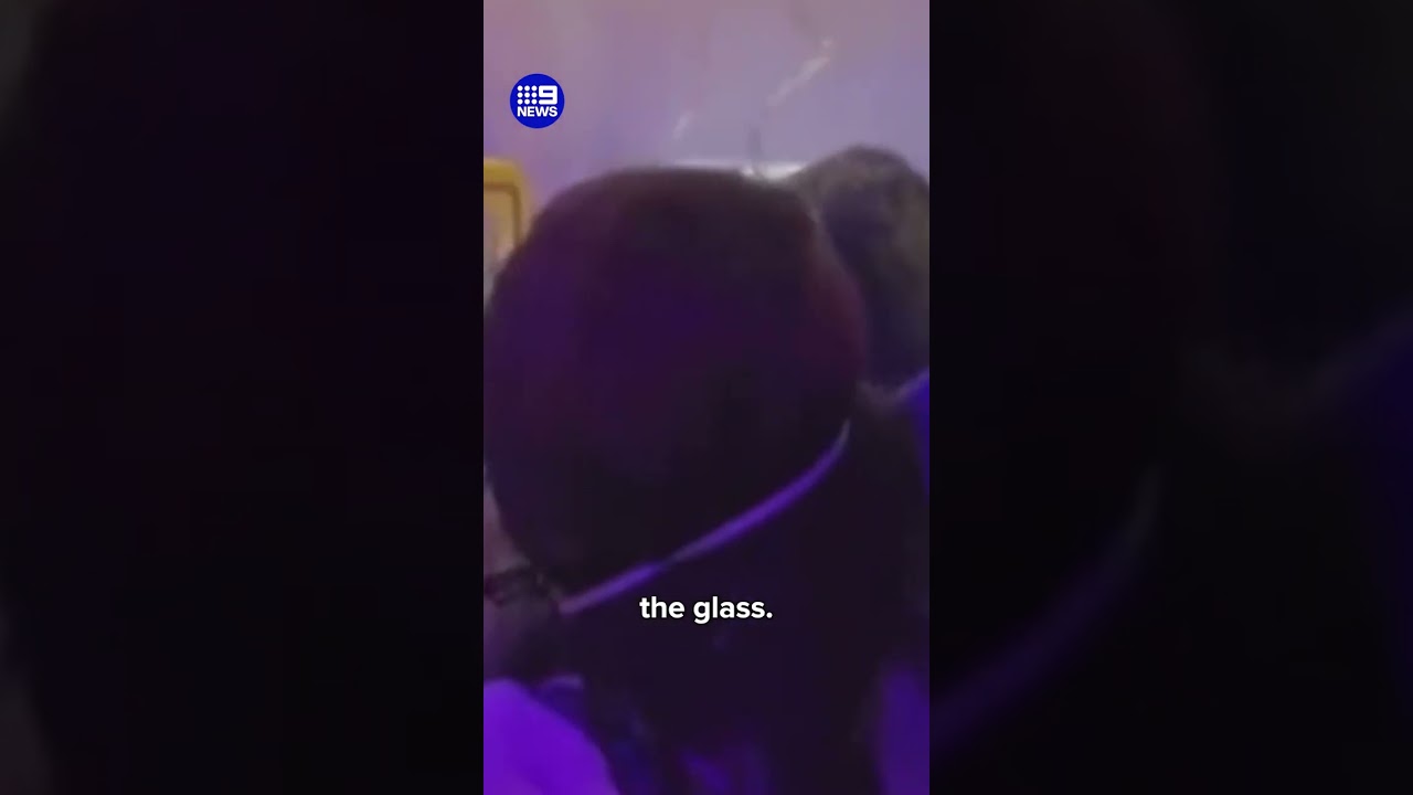 Passenger almost sucked out of plane window | 9 News Australia