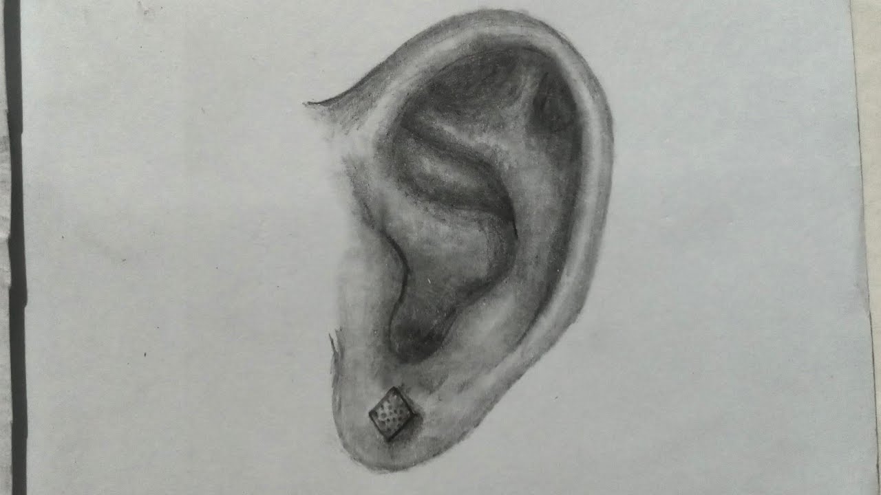 &ldquo;How to Draw a Realistic Ear | Easy Step-by-Step Tutorial for Beginners&rdquo;