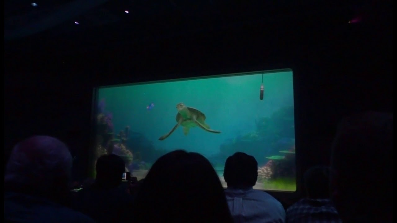 Turtle Talk with Crush at EPCOT