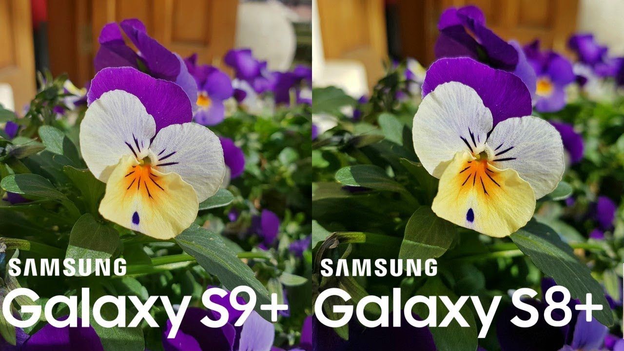 Камера Samsung Galaxy S9 Plus против камеры Galaxy S8 Plus | Тестовый обзор камеры | Сравнение камер