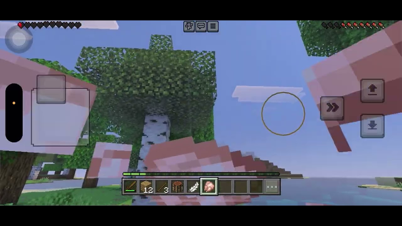 マイクラで、家を作ろうとした結果！？