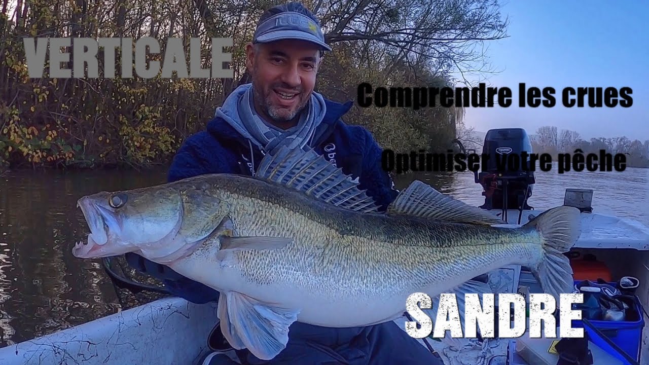 Verticale Sandre : Comprendre les meilleurs postes aux meilleurs moments