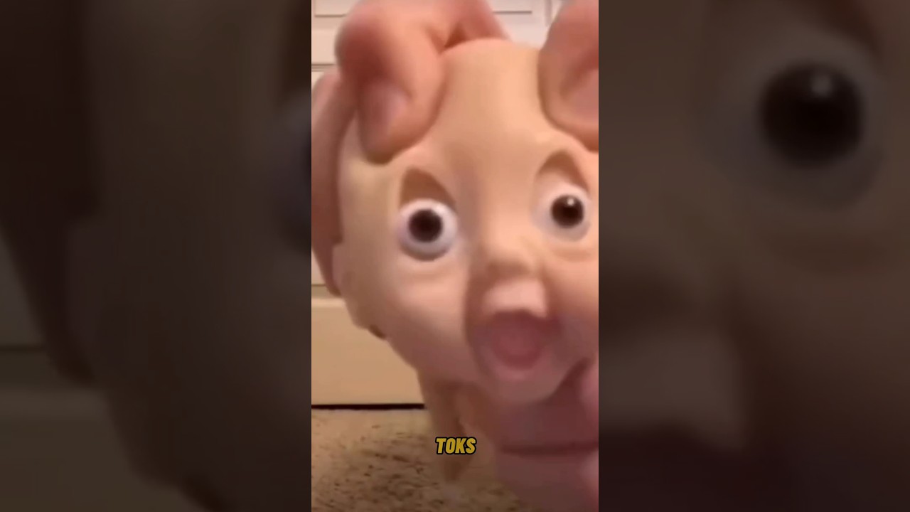 meme absurd bikin ngakak 🤣 #memes #absurd #shortsfeed