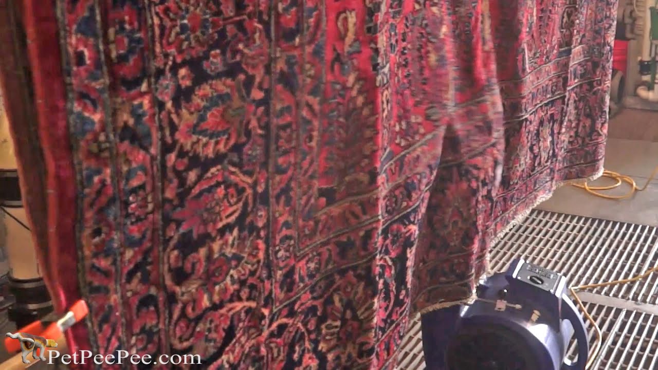 Dust-buster that's never Damage your Oriental rug