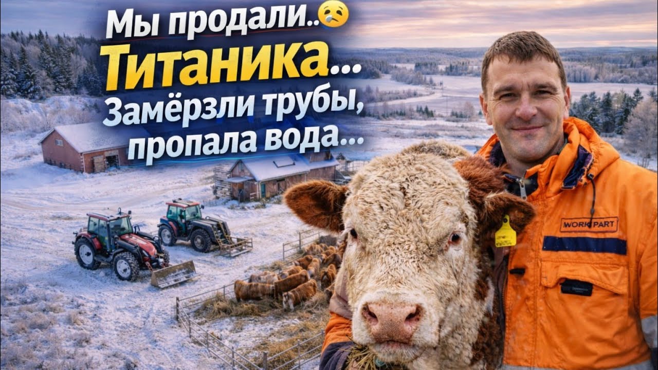 Мы продали Титаника… (БЫК ГЕРЕФОРД) + замёрзли трубы, пропала вода…