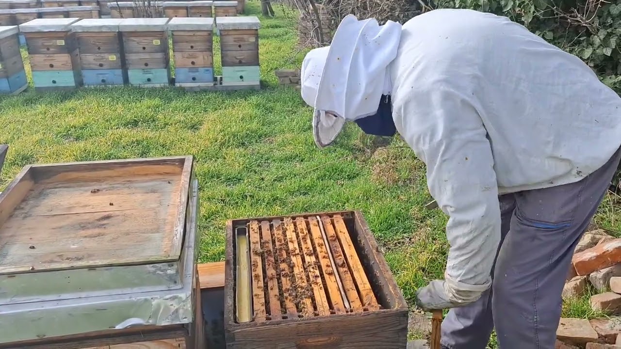 Ograničavanje plodišta