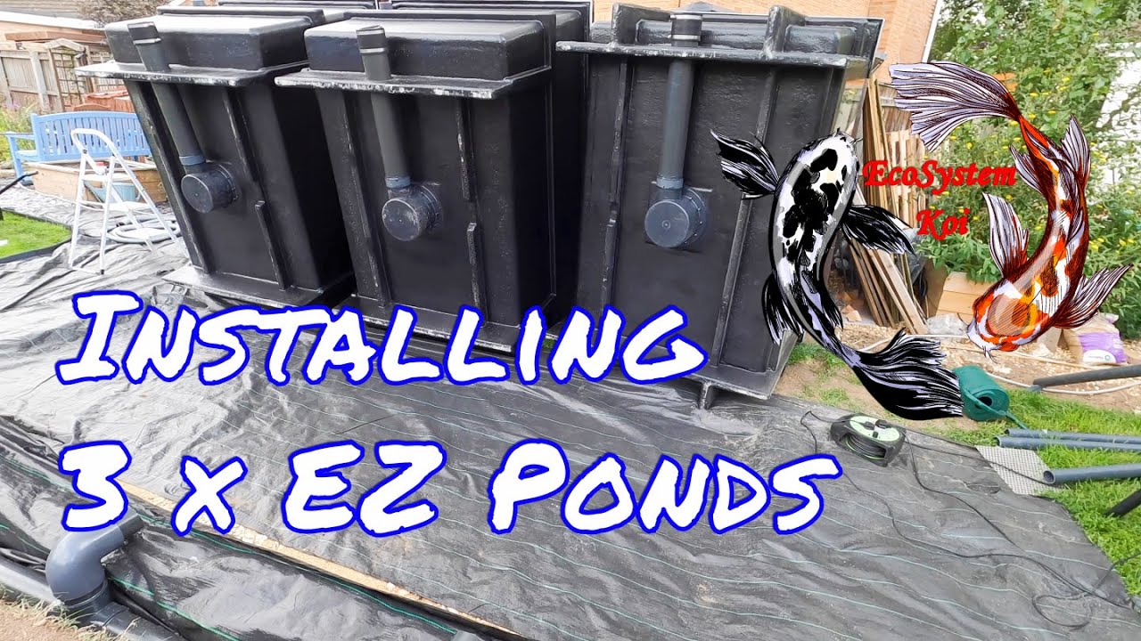 Installing 3 x EZ PONDS, Pressure pipe runs, bottom drains, Nexus 320, Filling and Adding fish 🐟🐟🐟