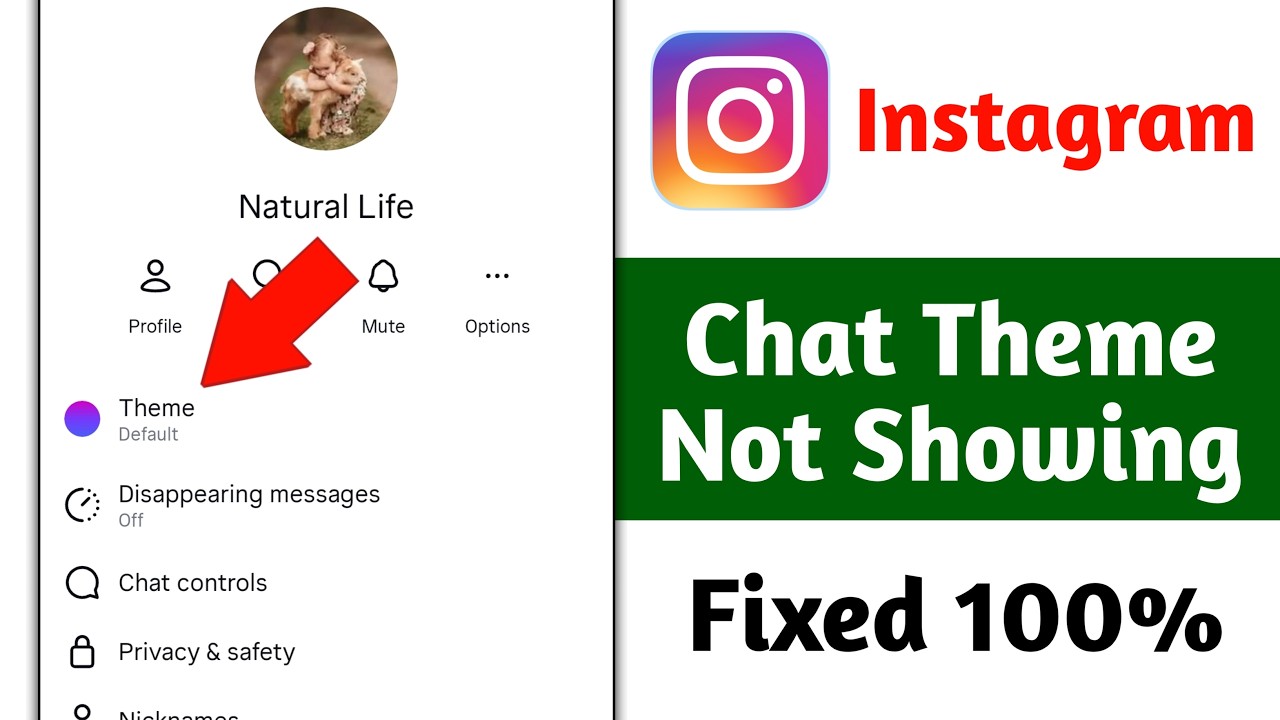 Как исправить проблему с отсутствием опции темы оформления чата в Instagram (2026) | Отсутствует ...