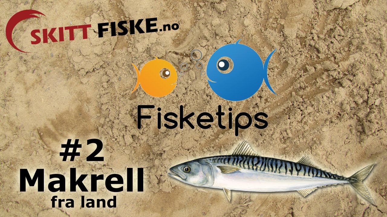 Fisketips #2 med Skitt Fiske - Fiske makrell fra land