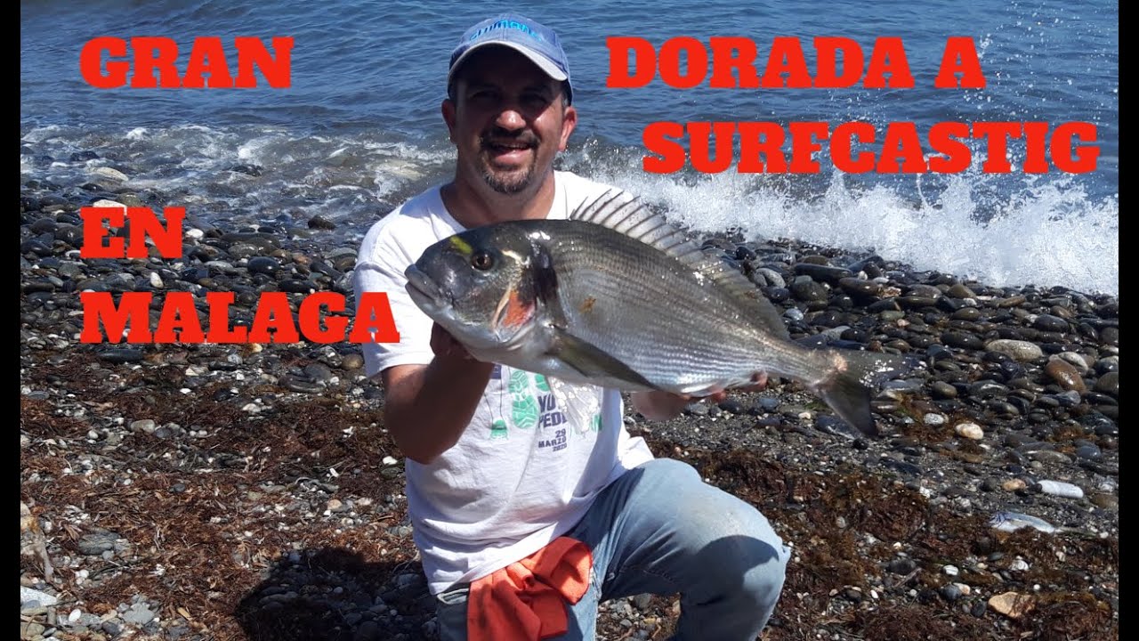 GRAN DORDA A SURFCASTING EN MALAGA
