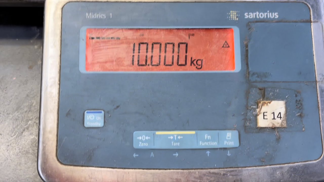 Quick DIY Calibration Of A Sartorius Midrics Scale