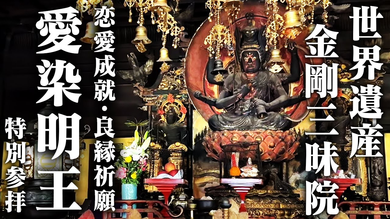 世界遺産金剛三昧院さんで、天然記念物の見事な石楠花をレポート！なんとご本尊の愛染明王様の特別参拝もさせていただきました！　#koyasan #旅行 #高野山