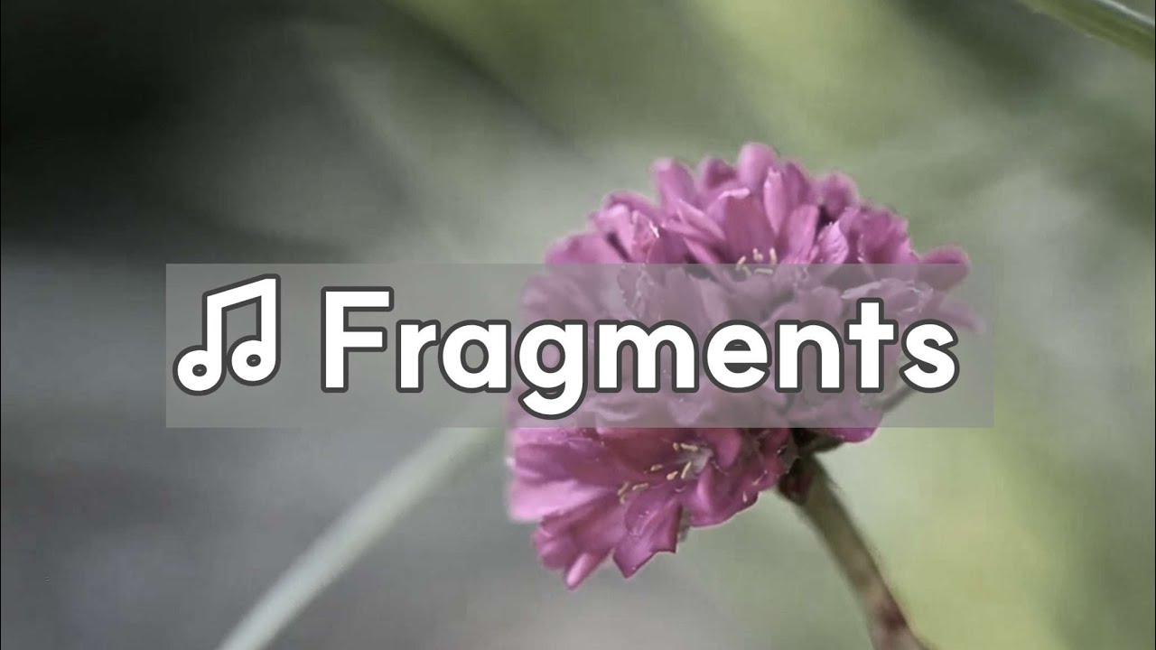 (BGM: Fragments ) 연민, 아르메리아, 2월29일탄생화, Armeria,  Feb.29, BirthFlowers, 꽃과 음악 Playlist