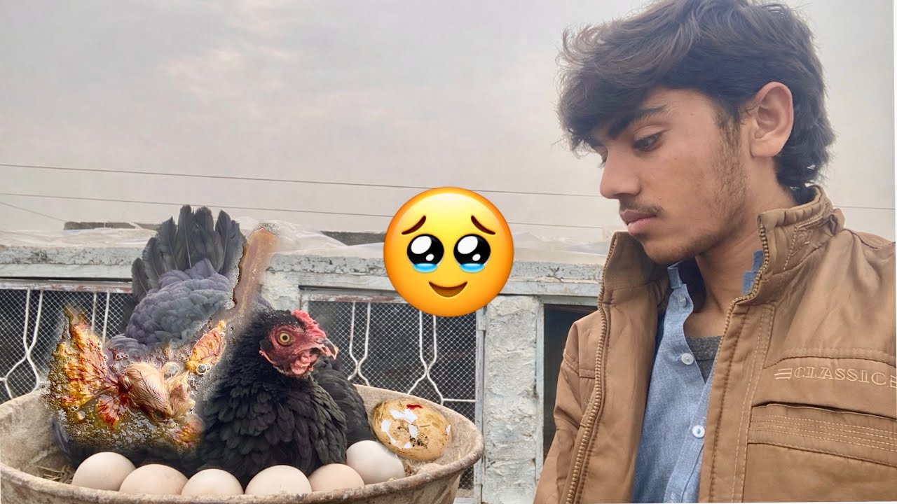 Ya kya kar deya 😭