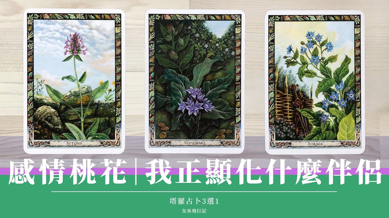 3選1｜年底前感情預測 🍑 我正吸引誰靠近｜脫單指南｜事先把握 or 避坑？桃花潛意識 💛 能量體檢｜Timeless無時間限制