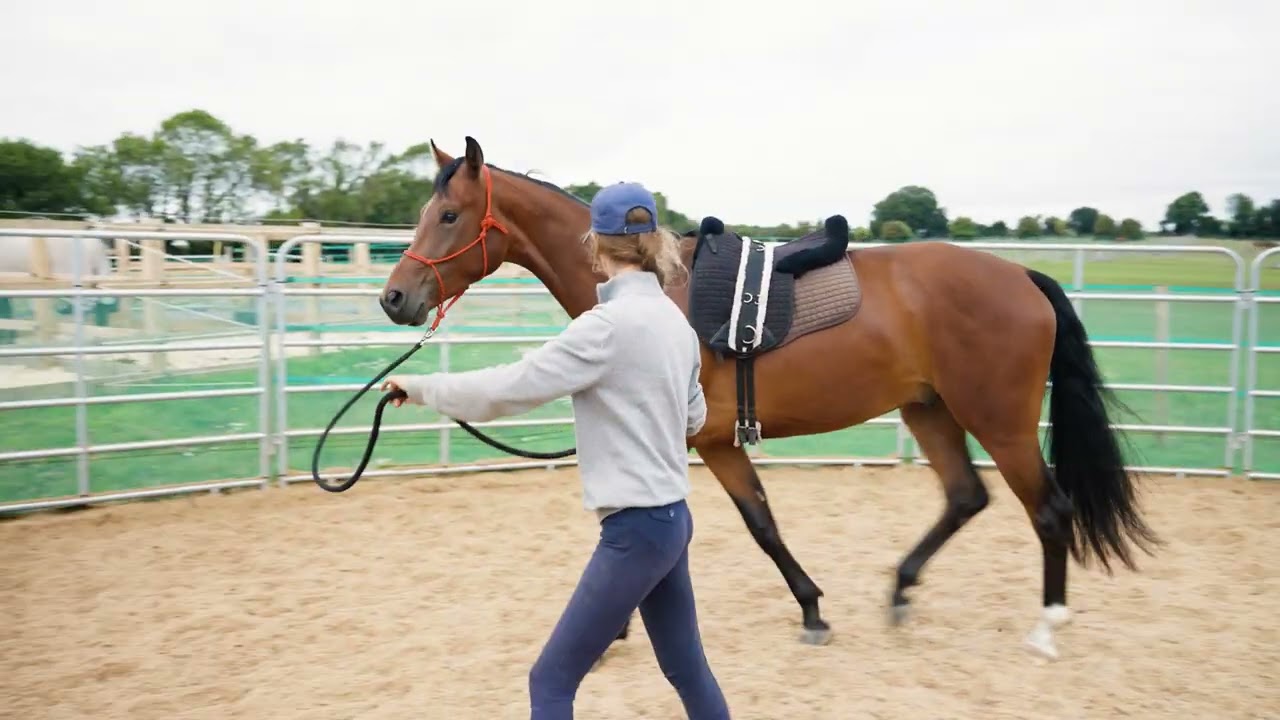 The Anmore Way | Episode 5: Introducing the Roller, Lunging & the Bridle