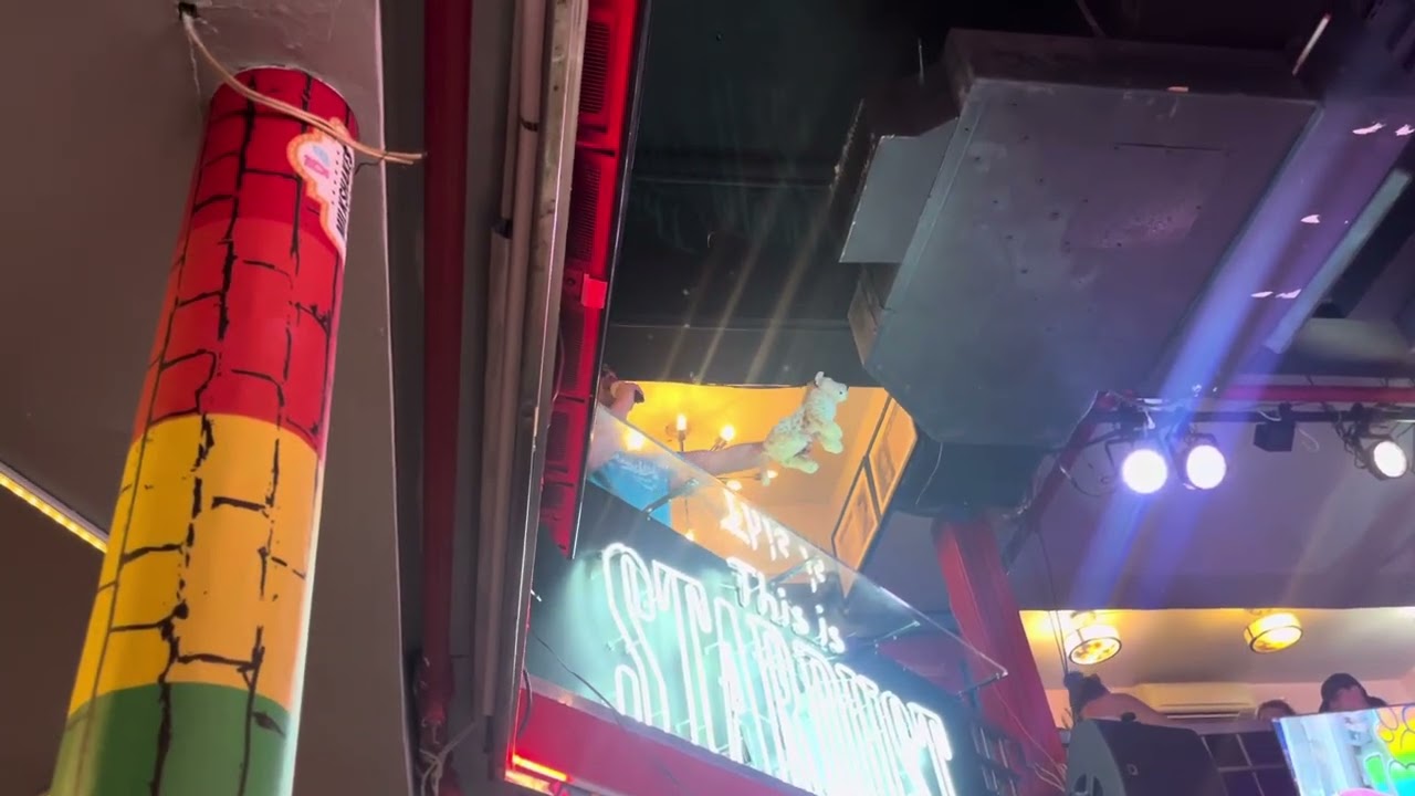 The Circle of Life - Ellen’s Stardust Diner - New York City
