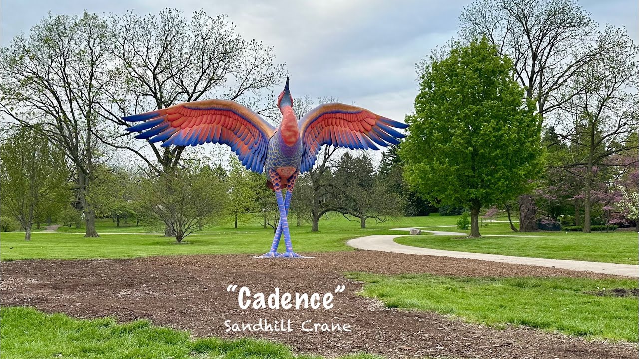 Spring Colors at Morton Arboretum 2025