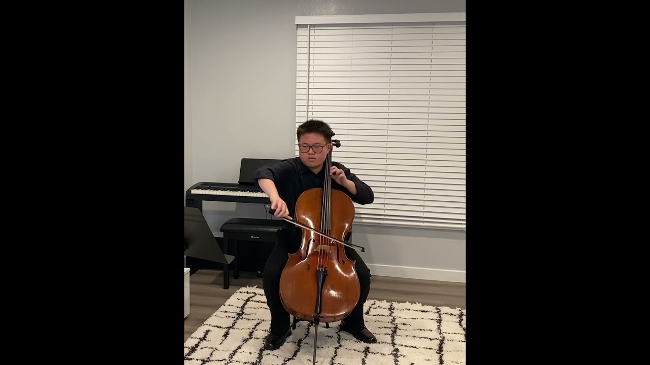 Beethoven Symphony No. 5 Second Movement Cello Excerpt (Steel A, D & Gut G, C)