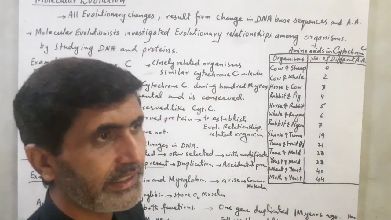 Molecular Evolution. BS.2nd semester. B.Sc.paperA