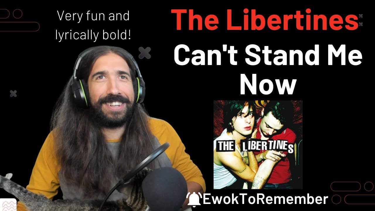 The Libertines - Can't Stand Me Now [REACTION]