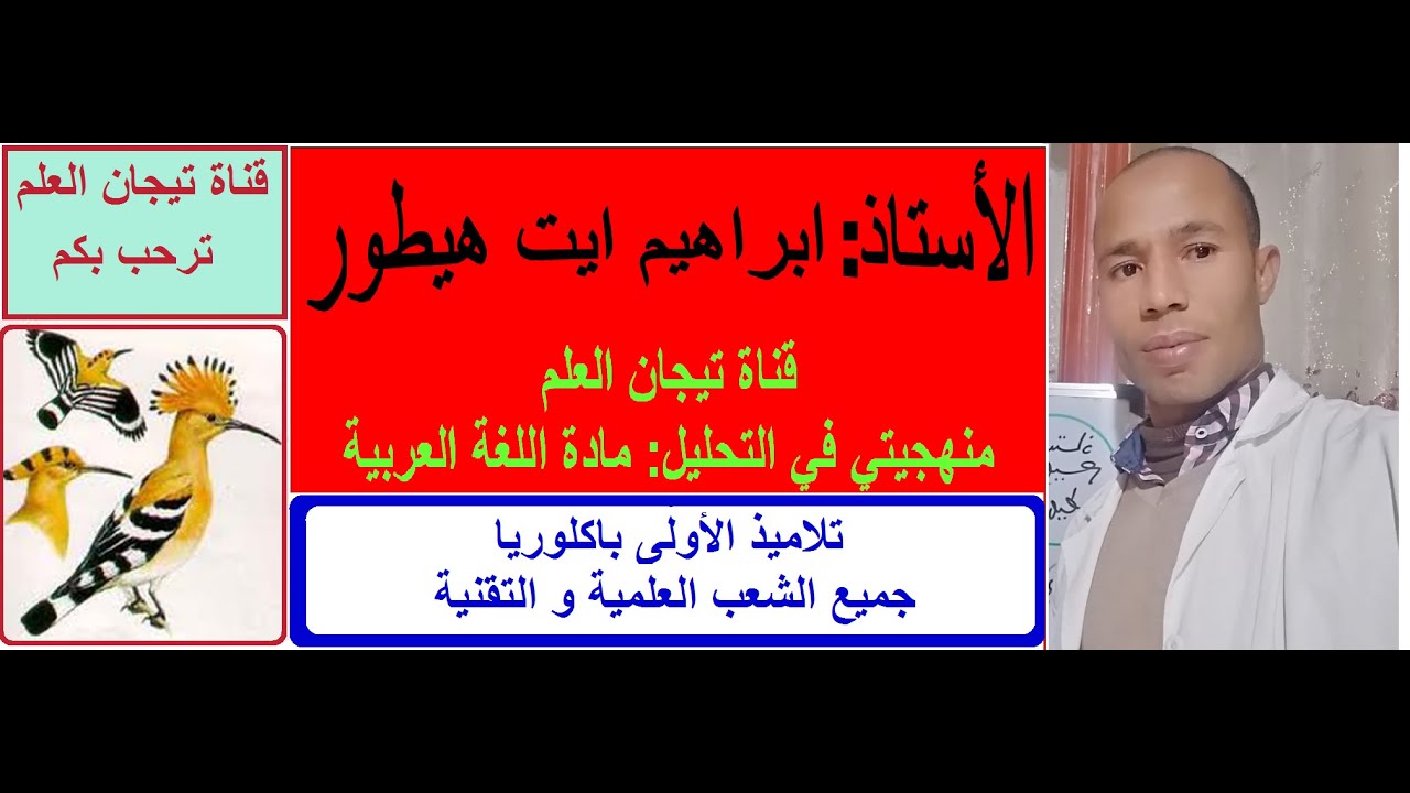 الأولى باكلوريا علوم مكون علوم اللغة درس النسبة