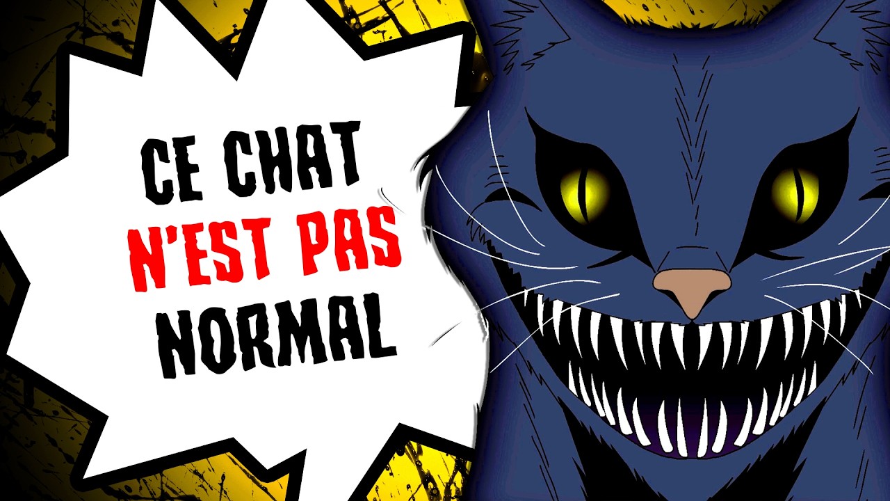 Ce n’était pas un chat normal...
