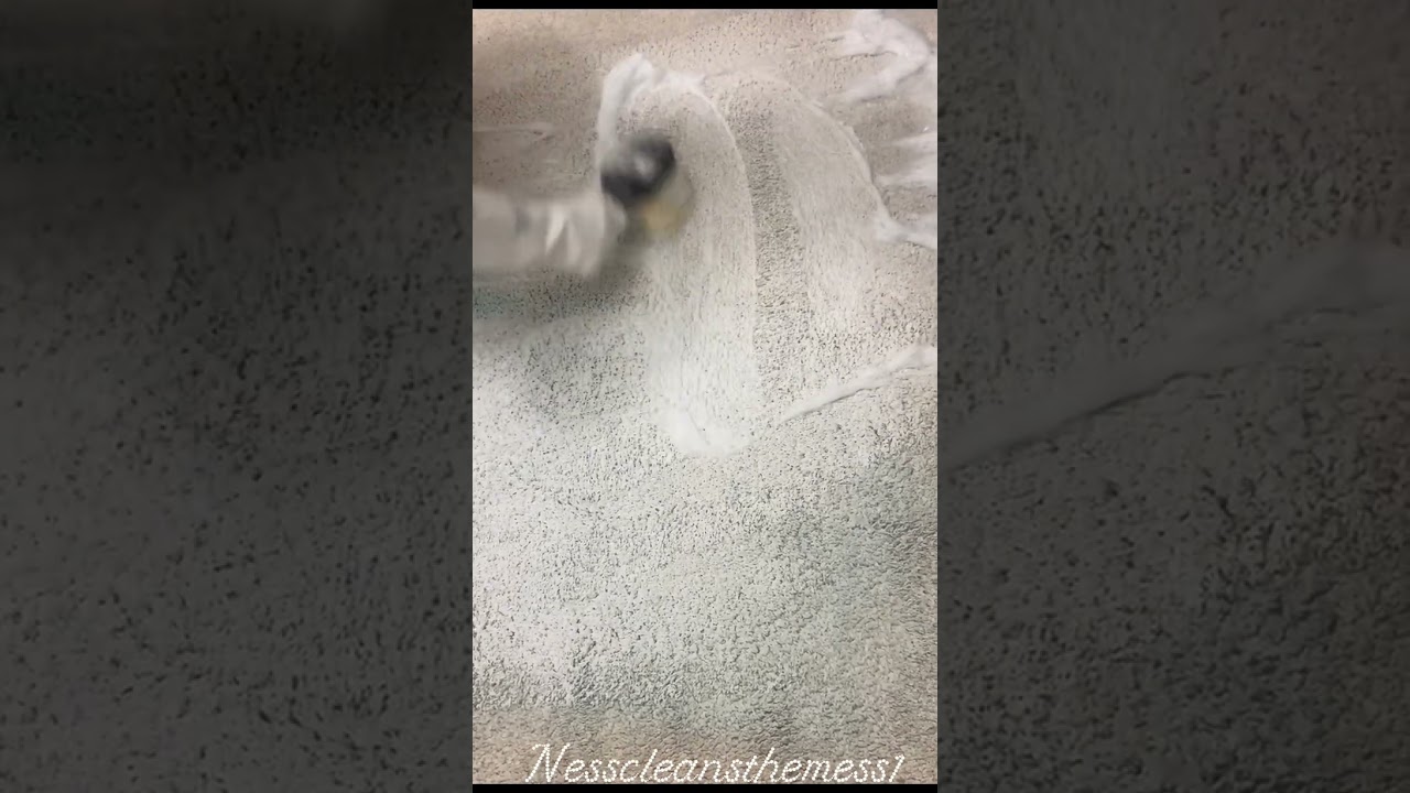 Sudsy carpet brush scrub 