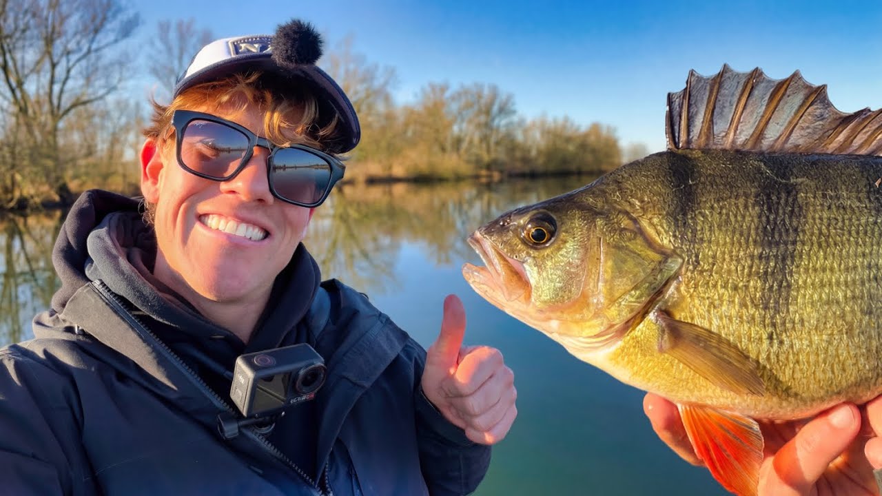 MET DEZE VIS TIPS GA JIJ MEER GROTE BAARZEN VANGEN!💪🎣