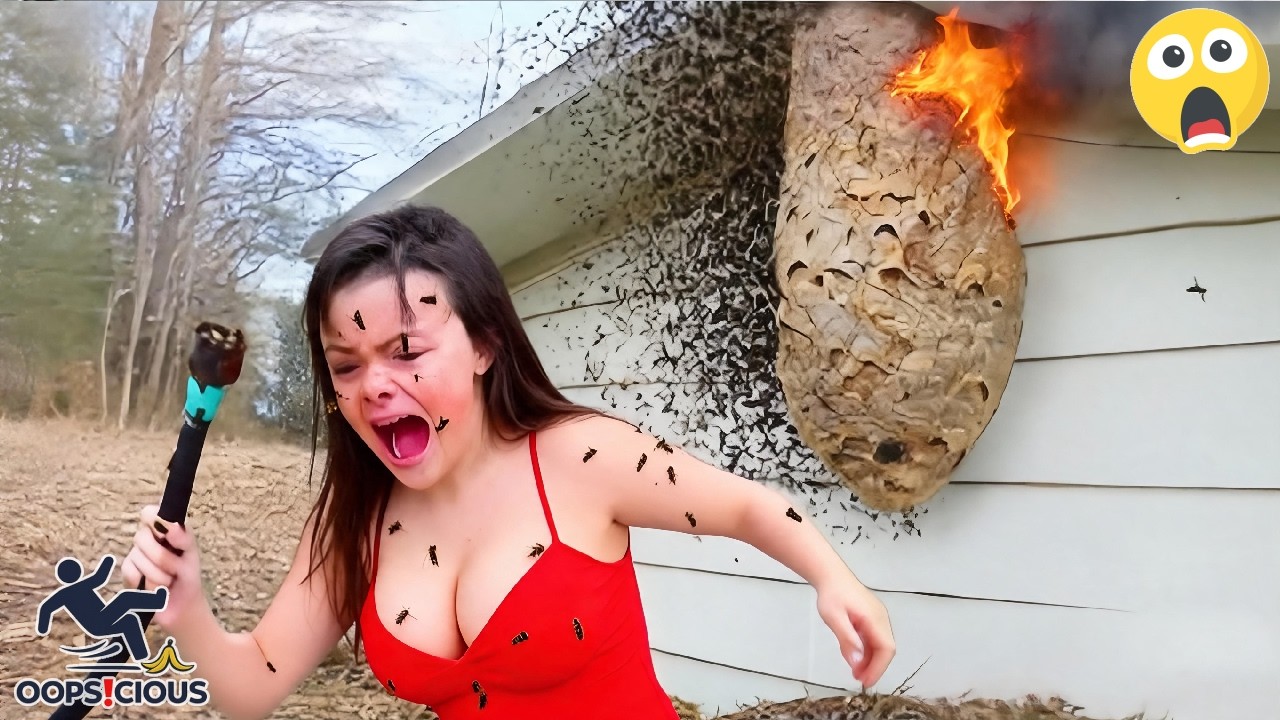 TOTAL IDIOTS AT WORK #204 | Instant Regret Fails Compilation 2026 | Best of the Week