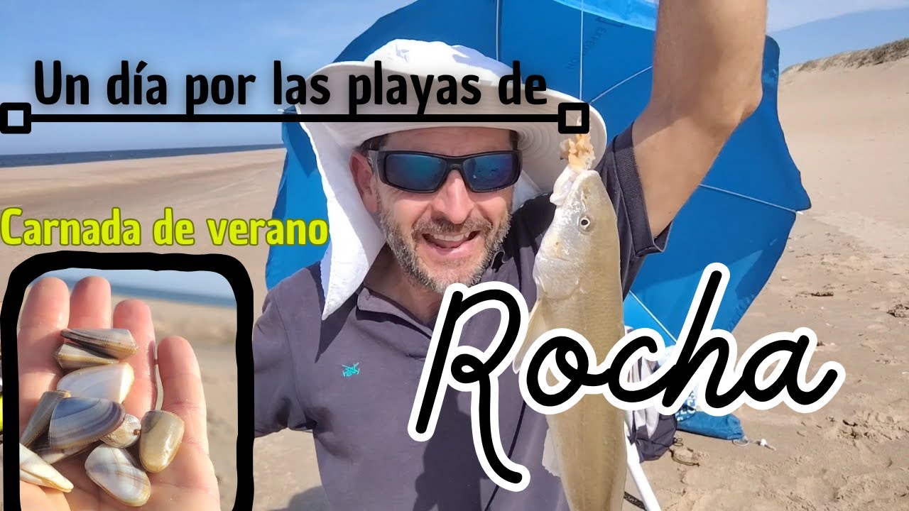 Una tarde por Rocha