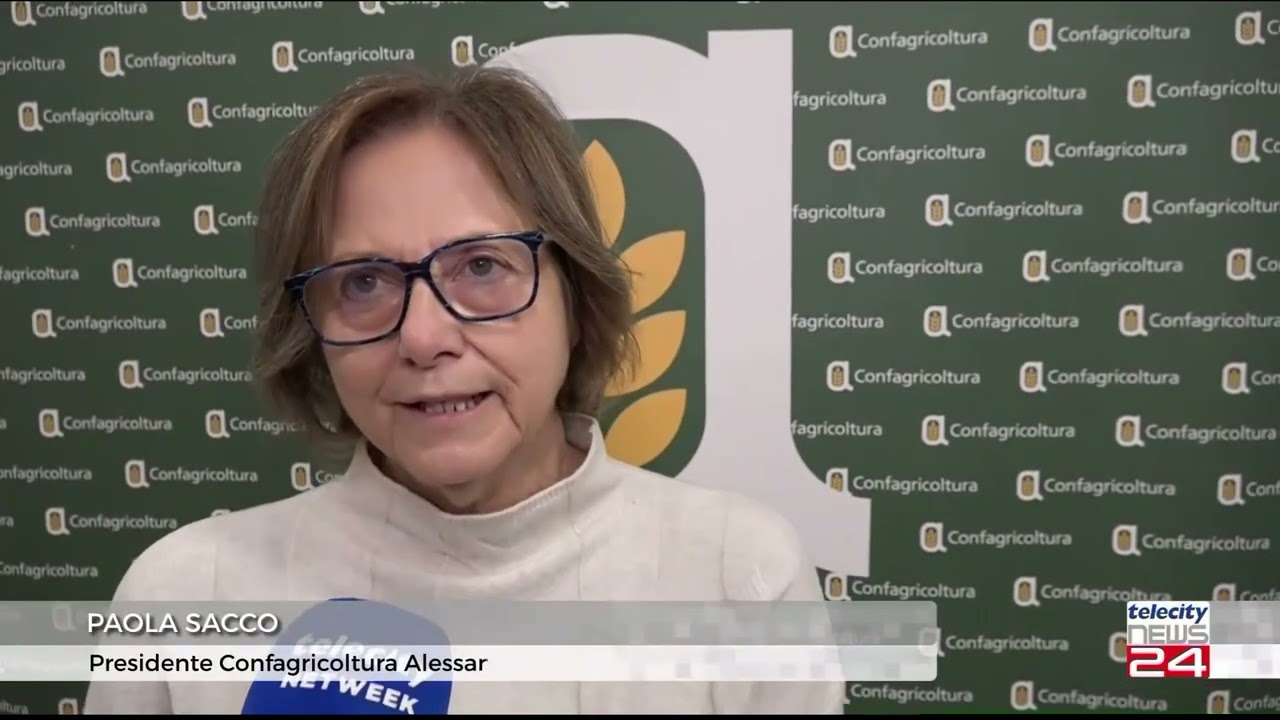 Assemblee di Zona, il servizio di Telecity